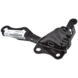 Equal Quality c00194 Scharnier Motorhaube Vorne Links für Auto