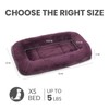 Patas Lague Bolster Dog Bed for Extra Small Dogs 16''x12'',