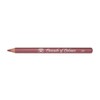 Cascade of Colours Lip Liner Pencil 309