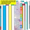  Index Tabs for Catechism of The Catholic Church, Color
