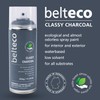 BELTECO Classy Charcoal Spray Paint | Water based & Odorless