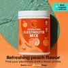 Vitalogix Naturals Natural Electrolyte Powder Mix – No Sugar, Low