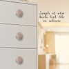Gotham Decor Classic Teddy Bear H Cabinet Knob/Round Knob/Drawer Pulls