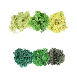 180g Preserved Moss 6 Vibrant Colors, All-Natural & Long-Lasting Moss for DIY Crafts, Terrariums, Moss Wall Art, Easter Decorations, Model Scenery Perfect for Creative Projects & Floral Arrangements