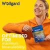 Wellgard Organic Chaga Mushroom Powder 90 Grams - Mushroom Supplement,