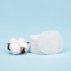 PETHROOM [Pesroom] Aqua Grooming Clean Pad (50 sheets) for Cats