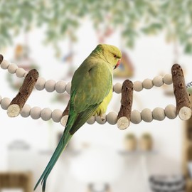 PHIEZC Bird Toy Wooden Ladders Budgie Toy Bird Cage Accessories for Budgies Cockatiel Cockatoo (10 Pieces Ladder, 64cm)
