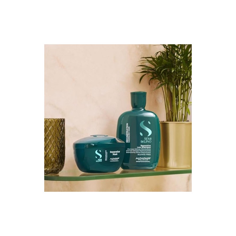 Semi di Lino Reparative Kit