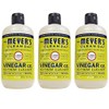 Mrs Meyers Clean Day Vinegar Gel Cleaner, Lemon Verbena, 12