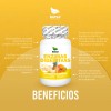 Enzimas Digestivas 100 Cápsulas, Perfecta Combinación de Ingredientes Naturales para