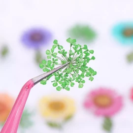 Phaeton 36 Colores De Flores Secas En 3d Para Uñas, Calcoman