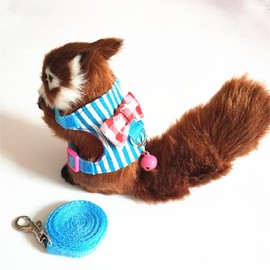 2 Pieces Hamster Harness and Pull Rope Small Animal Outdoor Walking Vest Chest Strap for Rabbit Squirrel Bunny Ferret Guinea Pigs (Red Grid + Blue Stripes, S)