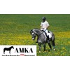 AMKA Short Waffle Neoprene Strap with Elastic and Roller Buckles,