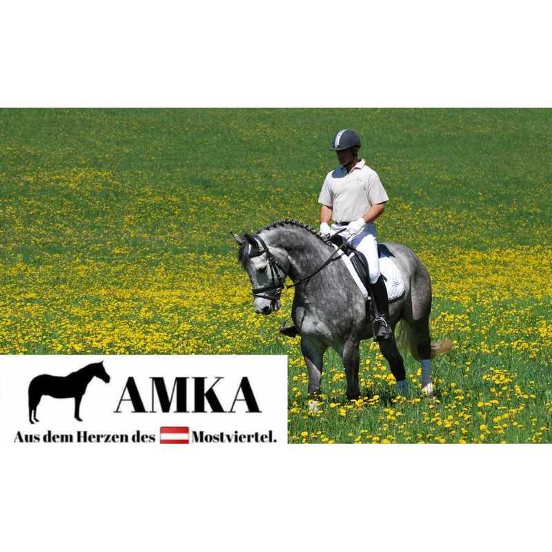 AMKA Short Waffle Neoprene Strap with Elastic and Roller Buckles,