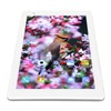 8.0 Inch Tablet for Android 8 Core CPU 2GB RAM