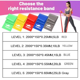 HCE Resistance Bands for Legs and Butt, Exercise Bands for Women & Men, Rubber Latex Elastic Booty Bands Physical Therapy Band for Yoga, Pilates, Rehab, Fitness and Home Workout (20LB, 2M)