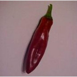 Kalocsa Sweet Peppers Seeds (25 Seeds) Pepper Seeds for Planting, Greenhouse, Patio, Lawn & Garden