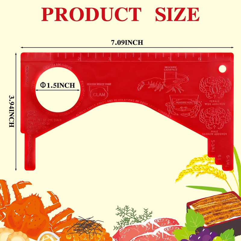 Kathfly 4 Pcs Crab Gauge Measure Clam Measuring Tool for