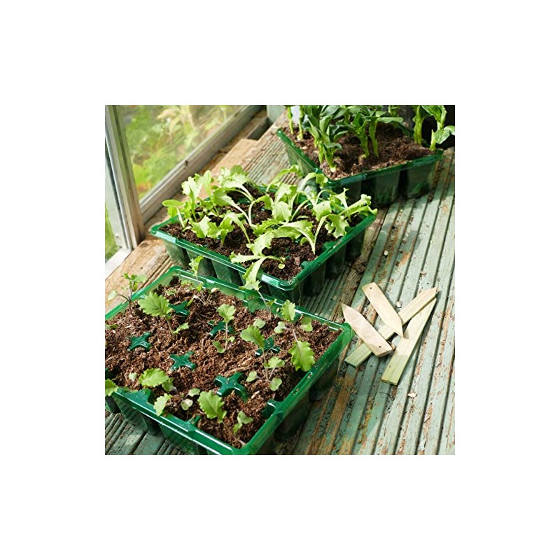 Gro-Sure 70200212 Visiroot 9 Cell 8pk Propagation kit, Green, 11.0