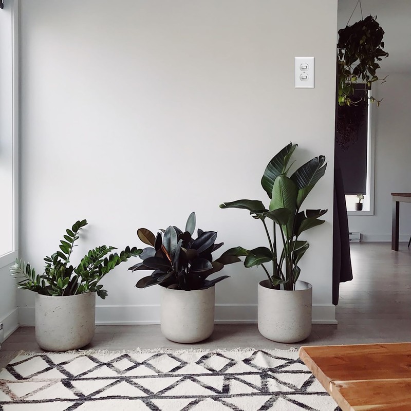 Legrand Pass & Seymour 696WGCC6 Combination Switch, One 15 Amp