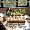 Zhehao 5 Pack Plant Propagation Station Hydroponic Glass Jar Terrarium