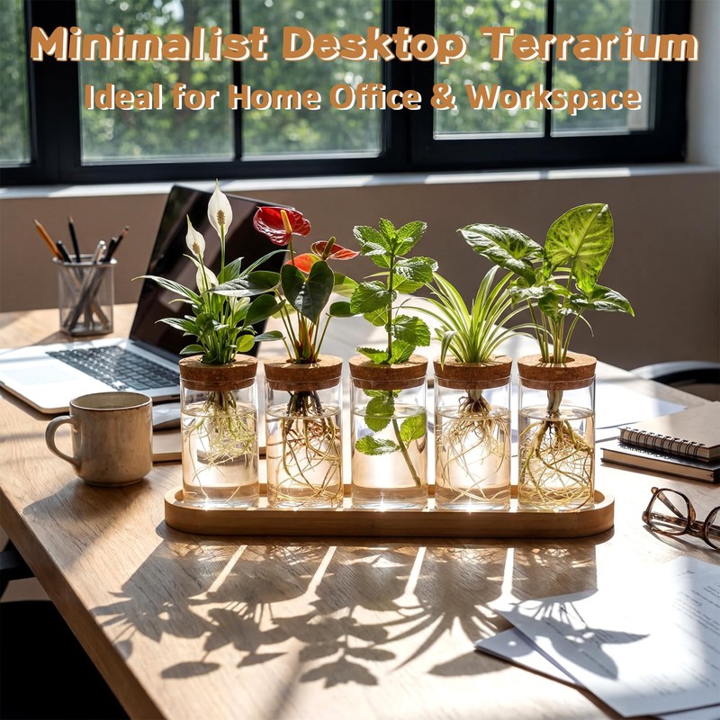 Zhehao 5 Pack Plant Propagation Station Hydroponic Glass Jar Terrarium