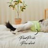 WICKEDPUP Male Dog Belly Band Kit, 50 Diaper Pads &