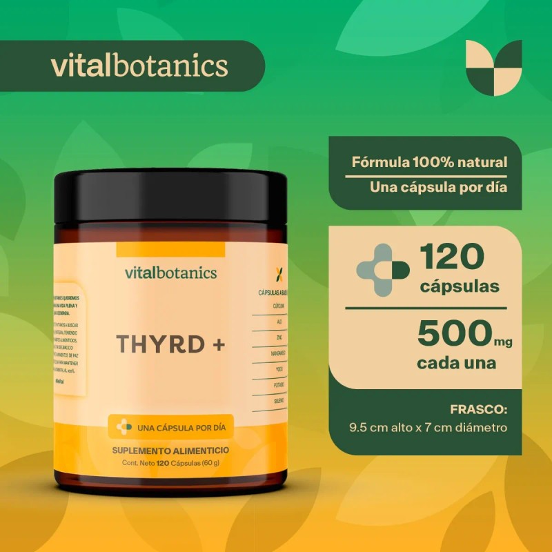 ⚡🌿 Ginseng + Yodo, Zinc y Selenio | 120 Cápsulas