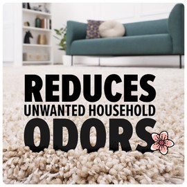 Dirt Devil Carpet Powder, 32 oz, Room Refresher and Odor Eliminator, Spring Meadows Scent, Vacuum Cleaner Safe, For Use on Carpets, Rugs, Upholstery and More, Carpet Freshener Powder for Home Use