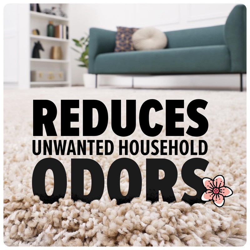 Dirt Devil Carpet Powder, 32 oz, Room Refresher and Odor