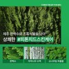 Nature Republic [Nature Republic] Forest Relief for Men Mist Toner