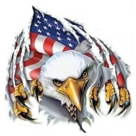 AMERICAN FLAG  EAGLE STICKER HELMET STICKER BUMPER STICKER LAPTOP STICKER WINDOW