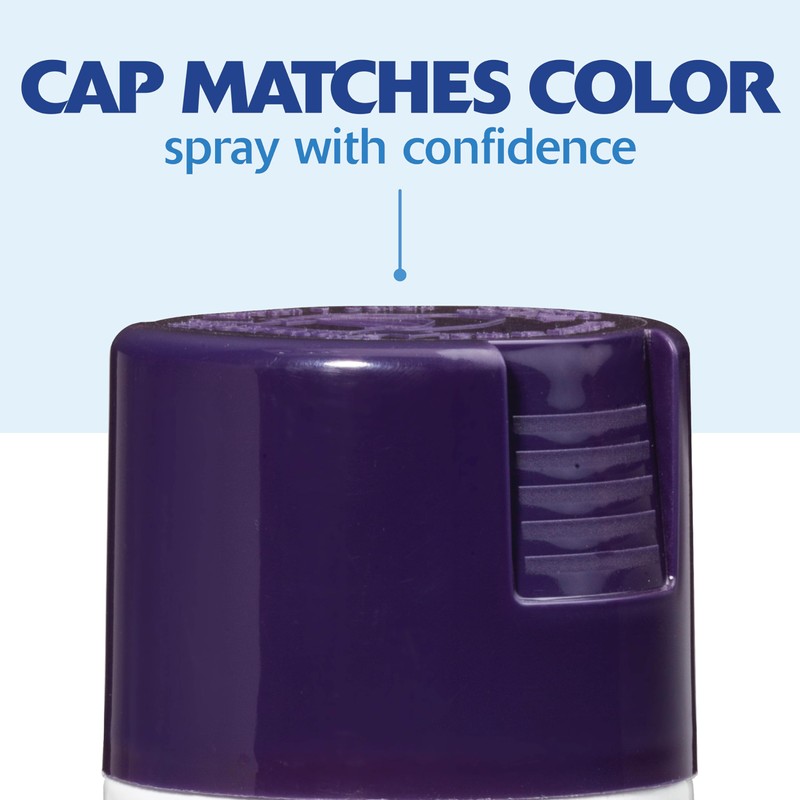 Rust-Oleum 249097-6PK Painter's Touch 2X Ultra Cover Spray Paint, 12