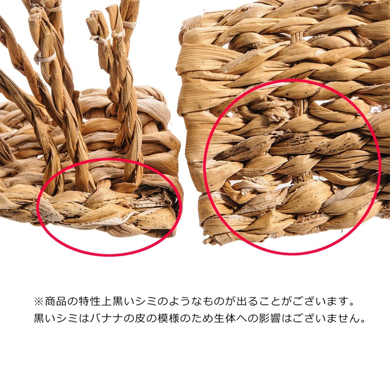 Kawai Banana de Octopus Feet x 3 Pieces