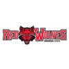 Craftique Arkansas State Indians Decal (RED WOLVES DECAL (4"), 4