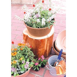 Gardens Eco Pot Series