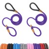 lynxking 6 FT Dog Leash Slip Lead 2 Pack Strong