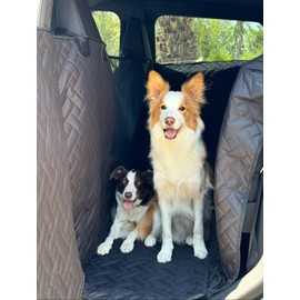 Cybertruck Pet Cover for Dogs - Dog Hammock for Cybertruck - Cybertruck Pet Liner with Door Protection, Dog Seat Cover for Back Seat of Cybertruck with Fold Up Seats (Floor Cover with Fold-Up Seats)