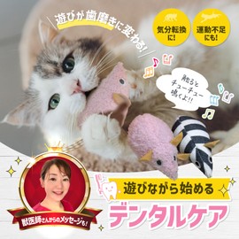 FelineBees Toothpaste, Oral Care, Cat, Toy, Touch and Sound Rat (2 Piece), Chew Toy, Lack of Exercise, For Dental Care (Fashionable Parisienne)