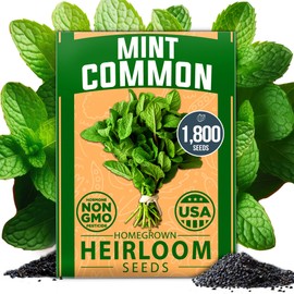 HOME GROWN 𝗨𝗦𝗔 𝗣𝗥𝗘𝗠𝗜𝗨𝗠 Common Mint Seeds (Bulk Pack) 1,800 𝗡𝗢𝗡-𝗚𝗠𝗢 Heirloom Herb Seeds, USA Sourced | Ideal for Planting Outdoors or Indoors for a Fresh Mint Tea Garden (Mentha spp)
