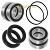 Caltric Rear Axle Ball Bearings Seals Kit for Suzuki LT-A400