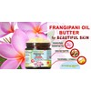 Botanical Beauty FRANGIPANI OIL BUTTER 100% Natural 16 Fl.oz.- 480