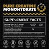 Gains in Bulk Instantized Creatine Monohydrate for Women and Men,