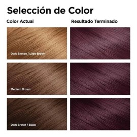 Revlon 3 PACK - REVLON COLORSILK 462 🇲🇽 TINTE PARA CABELLO COLOR BORGOÑA VIBRANTE