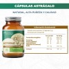 Astrágalo Adaptógeno Vegano en Cápsulas para Inmunidad y Energía