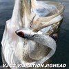 Coreman VJ-22 Vibration Jig Head #054 Gold Head / Hirame
