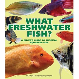 What Freshwater Fish?: A Buyer's Guide to Tropical Aquarium Fish