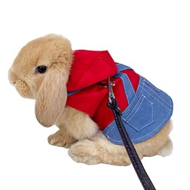 2 PCS Rabbit Harness and Leash Small Animals Clothes Hooded Outfit for Bunny Guinea Pig Harness Small Pet Hoodies for Kitten Tiny Puppy Adult Hedgehog and Other Small Breeds (A, Small)