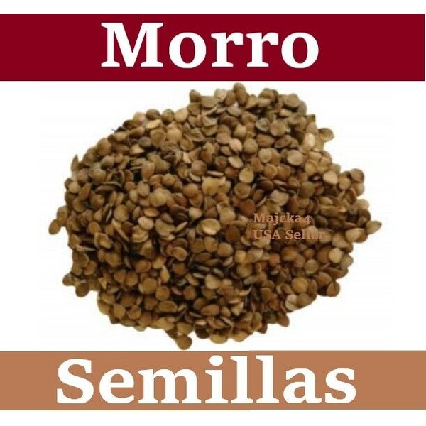 Morro SEMILLAS 8 oz Bebidas Horchata Morro Semillas