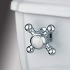 Kingston Brass KTBX1 Buckingham Toilet Tank Lever, 2-7/8-Inch Handle Length,